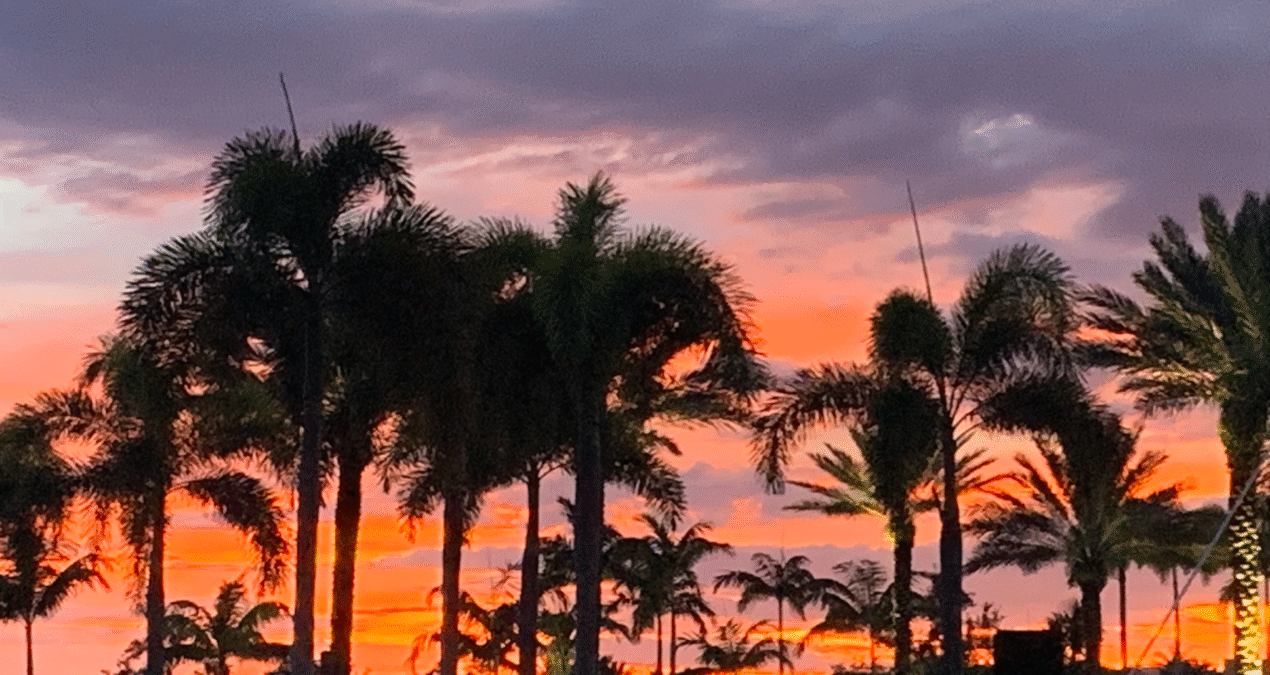 How Use Arden Lakes Website